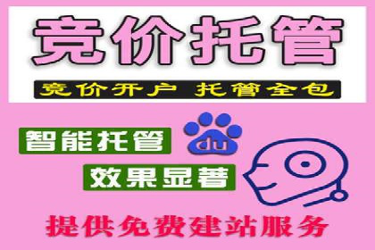 某品牌如何通过SEM代运营服务公司实现增长